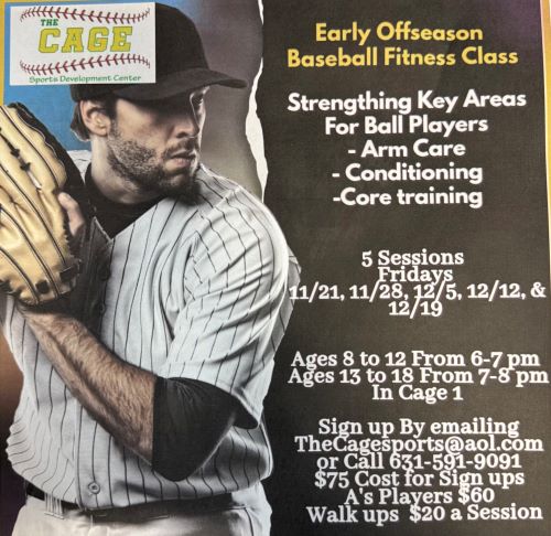 pitcher holding ball